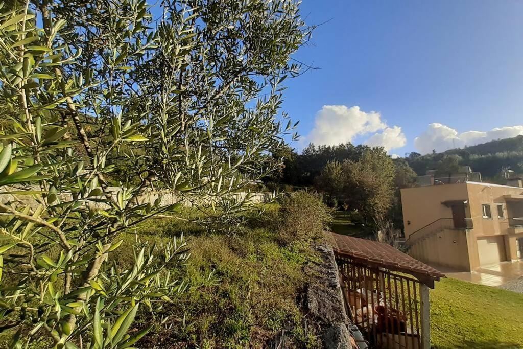 Cavado'S Heights Braga Apartment Exterior photo